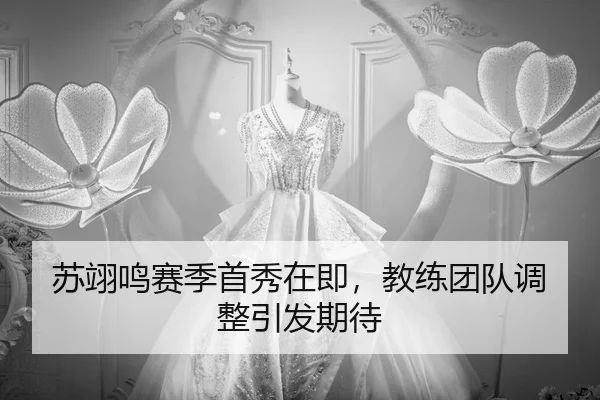 su-yi-ming-sai-ji-shou-xiu-zai-ji-jiao-lian-tuan-dui-tiao-zheng-yin-fa-qi-dai-2-883.jpg
