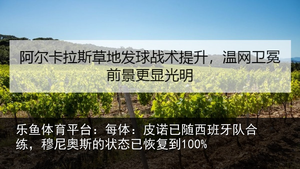 乐鱼体育平台：每体：皮诺相关情况，穆尼相关情况到100%