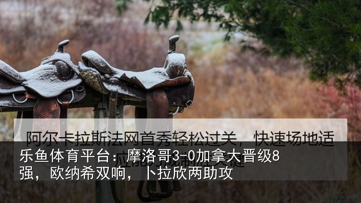 乐鱼体育平台：摩洛相关情况纳希相关情况